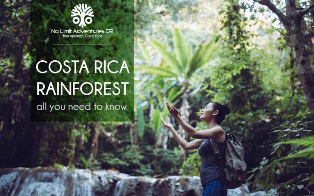 Costa Rica Rain forest No Limit Adventure