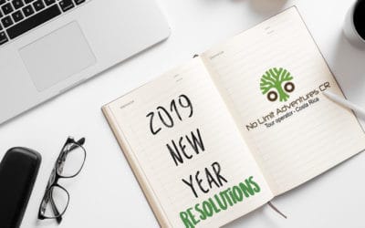2019 new year’s resolutions